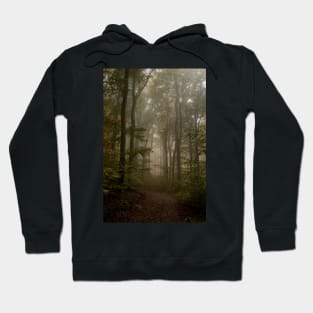 Enchanted Forest Hoodie